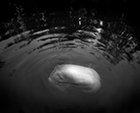 PRC Portfolio photograph by Arno Rafael Minkkinen