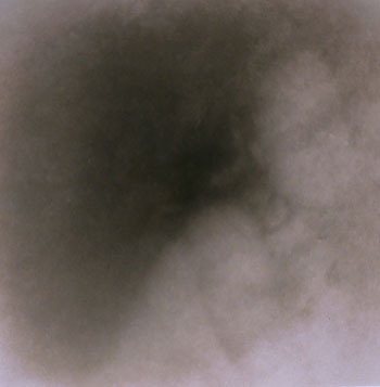 Jaclyn Kain, Millie #45, 2005, Toned gelatin silver print, 19 x 19 inches, Copyright the artist and courtesy of Gallery NAGA (Boston, MA)
