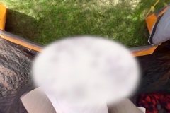 SMFA_Foshay_Billy_BlowoutVeil