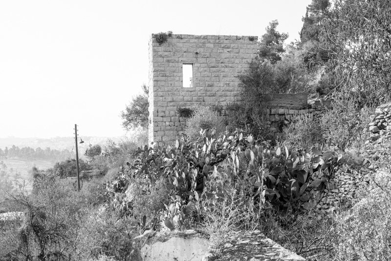 Edwards-Ber_Lifta01 Edwards-Ber_Lifta01