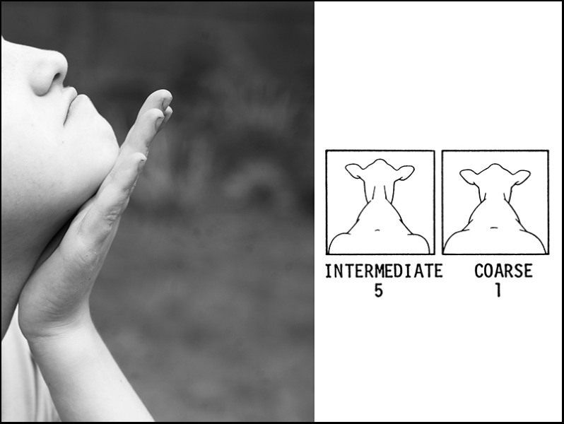 England_Angularity_sm England_Angularity_sm