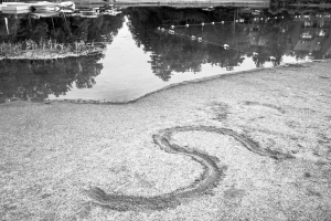 Gaffney_Summer_Beach Gaffney_Summer_Beach