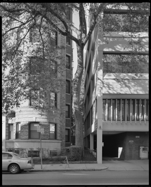 Myren_MassachusettsAvenueElm_1 Myren_MassachusettsAvenueElm_1