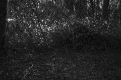MassArt_Geiger_Jacob_A-Course-October
