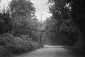 16_Prendeville-8