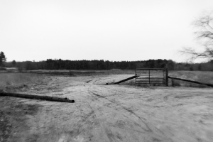 22_Prendeville-5