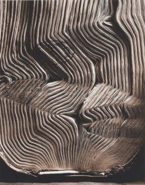 TFTV_Morell_Abelardo_PPP02.001