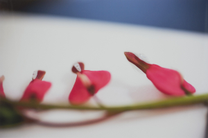 TFTV_Parker_Olivia_PPP08.003