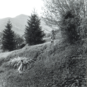 TFTV_Rearick_Anne_PPP00.003