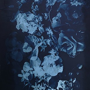 Example of a cyanotype image